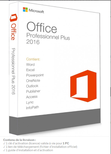 Microsoft Office Professionnel Plus Professional Plus Recarket